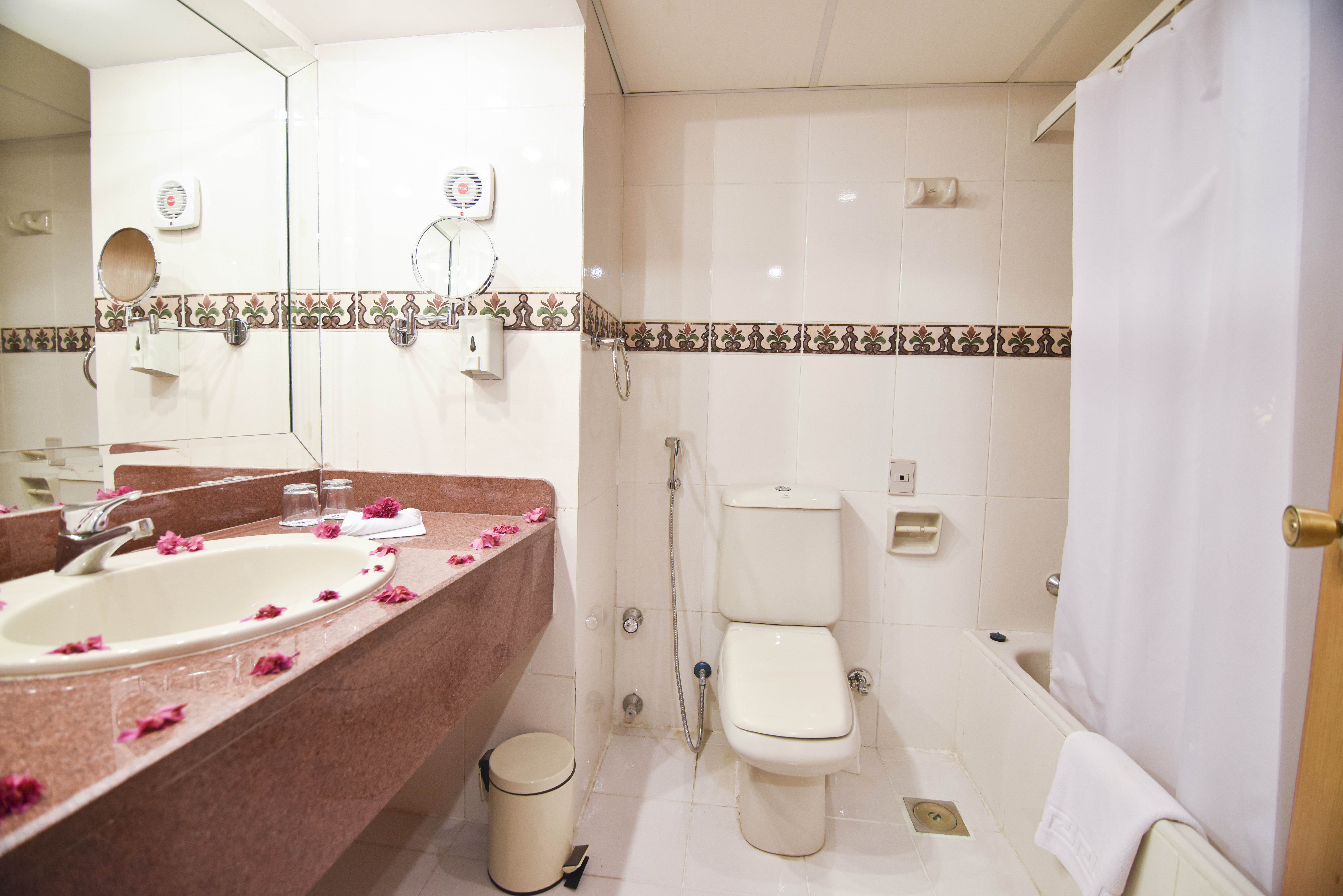 room image